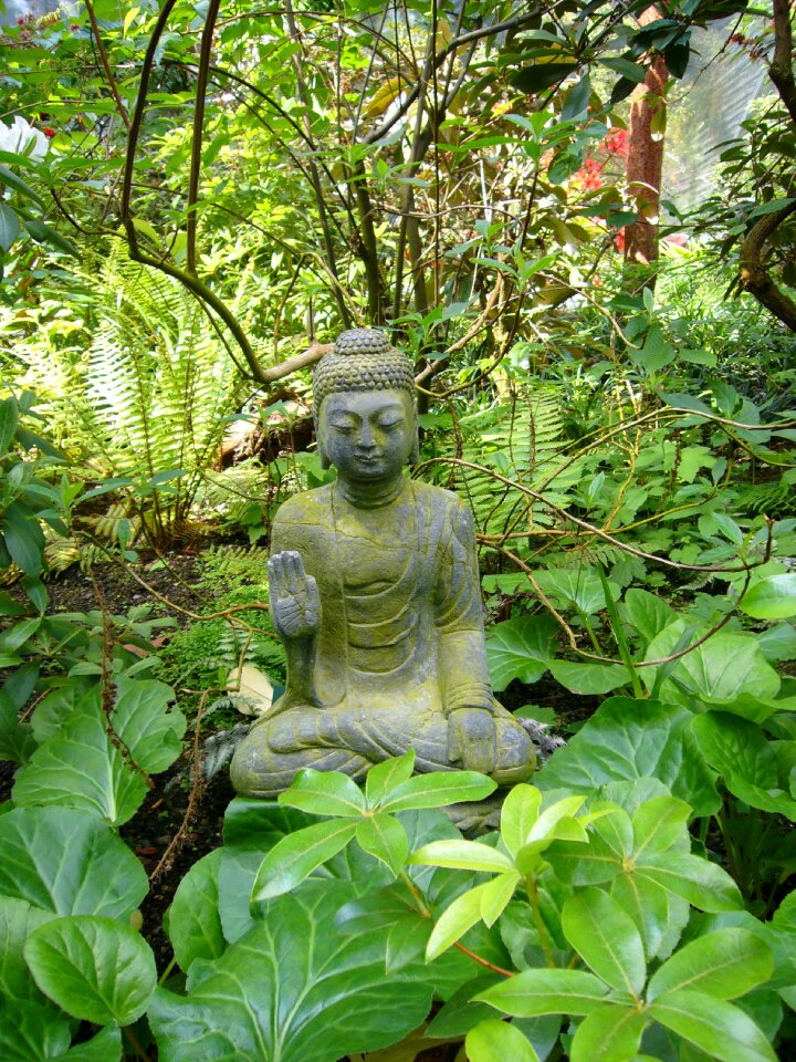 Religion statue plant
