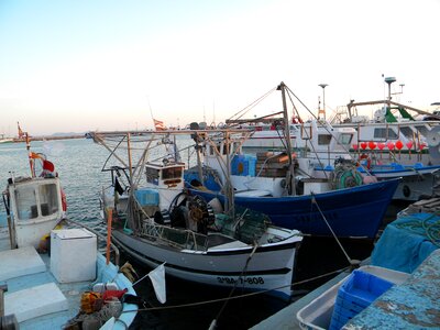 Girona port roses