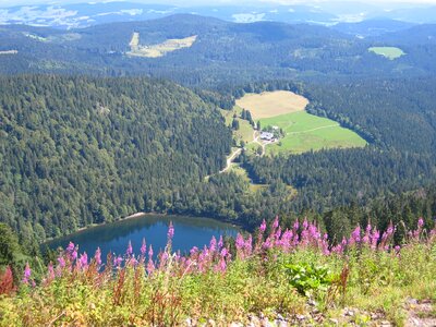Far black forest feldberg