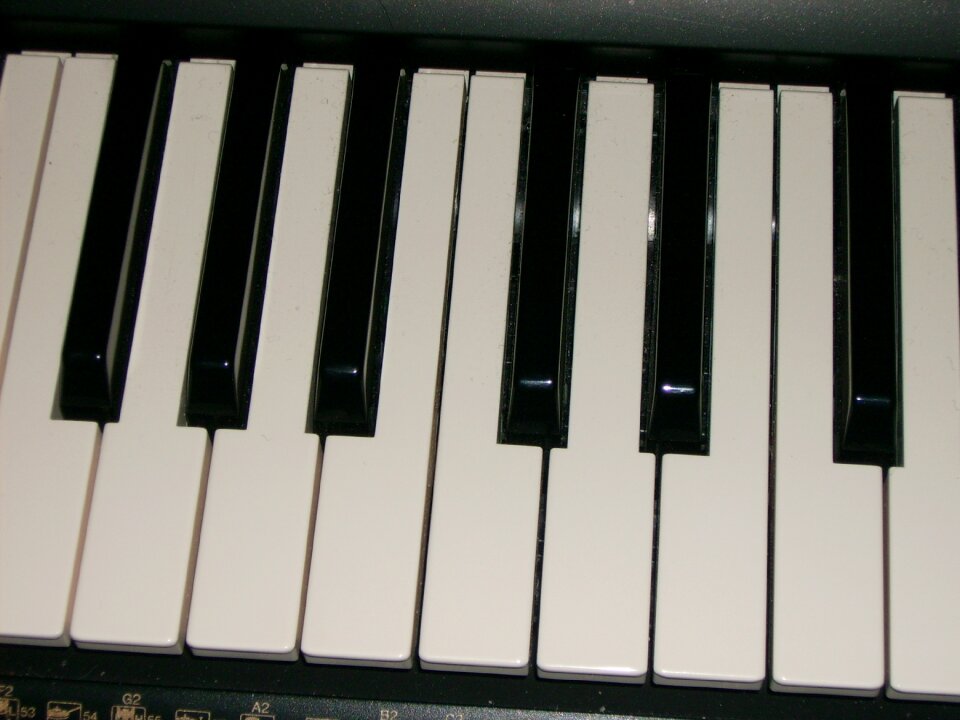 The keys black and white