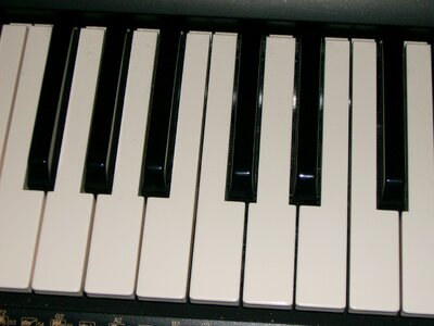 The keys black and white