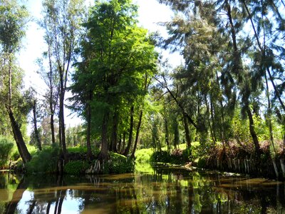 Barge water river