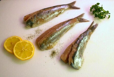 Eat food edible