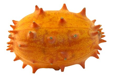 Prickly horn melon cucumis metuliferus