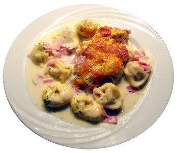 Scalloped noodle dish eat