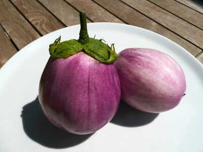 Food eat solanum melongena