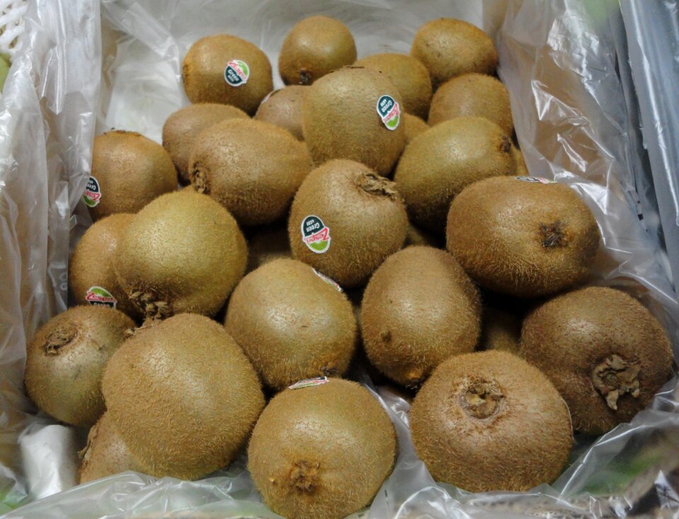 Healthy nutrition fruity