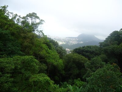 Green corcovado brazil photo