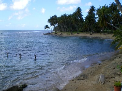 Caribbean sea puerto rico beach photo