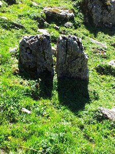 Stone in meadow stones simmental