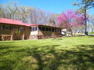 Yard background house