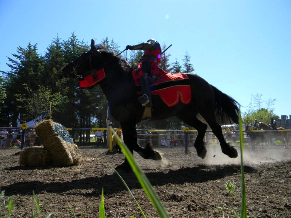 Fairy festival jousting ring game