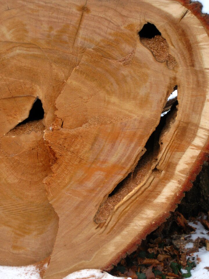 Wood perforated sawn