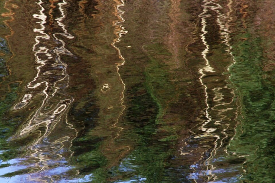 Lake reflections reflection