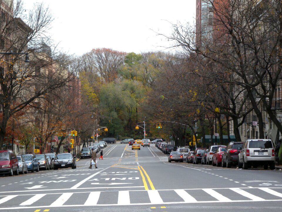 Urban metropolitan street