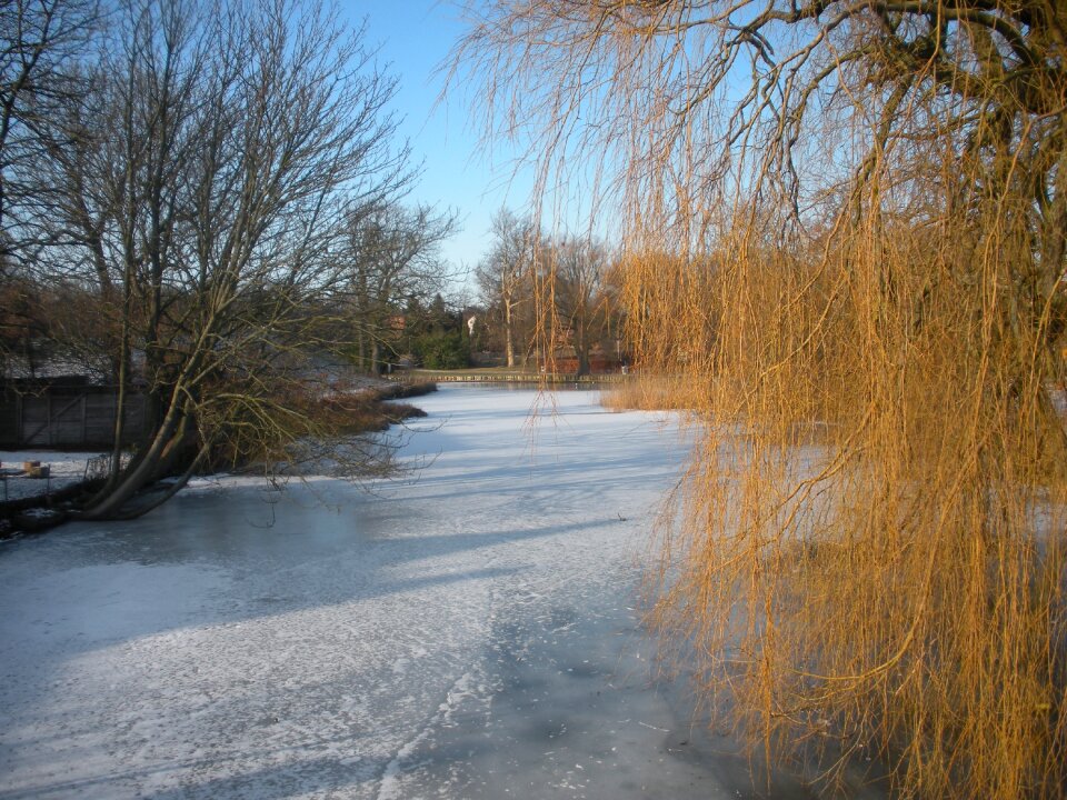 Moat trees nature