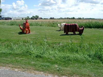 Wood figure cows