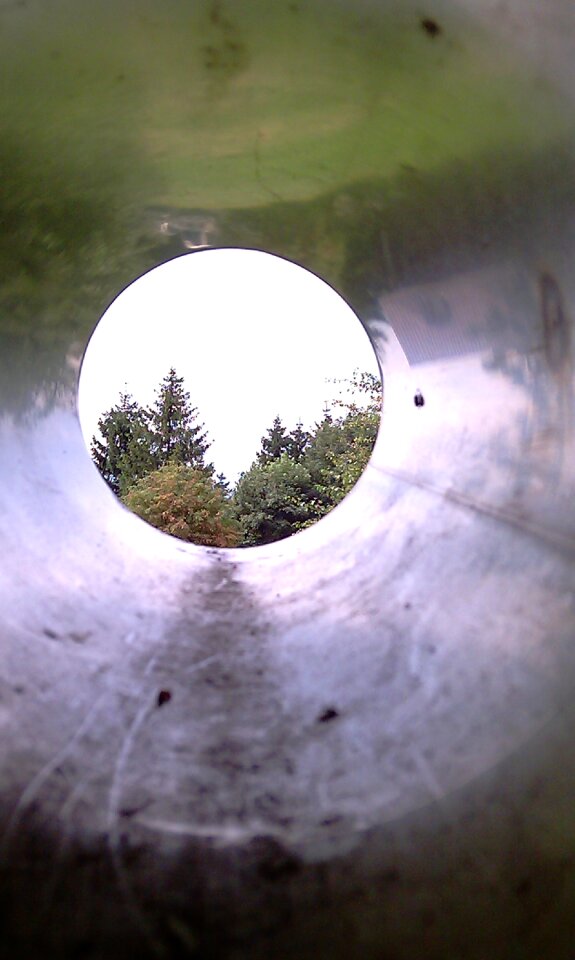 Nature in the tube look good view