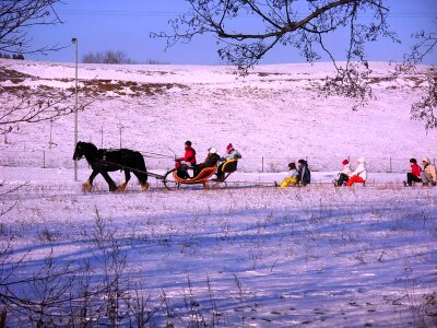 Ice sleigh ride horse photo