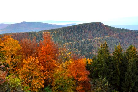 Fall seasons valley