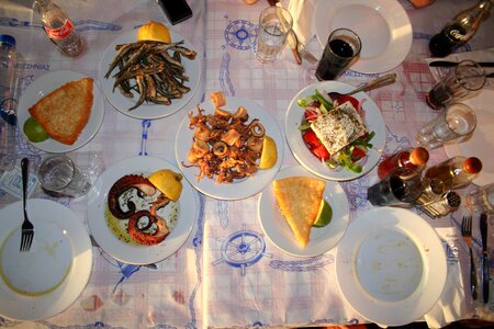 Food nutrition feed