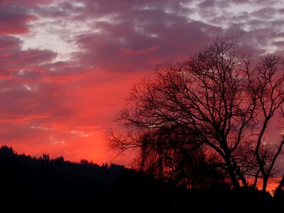 Silhouette nature sunset photo