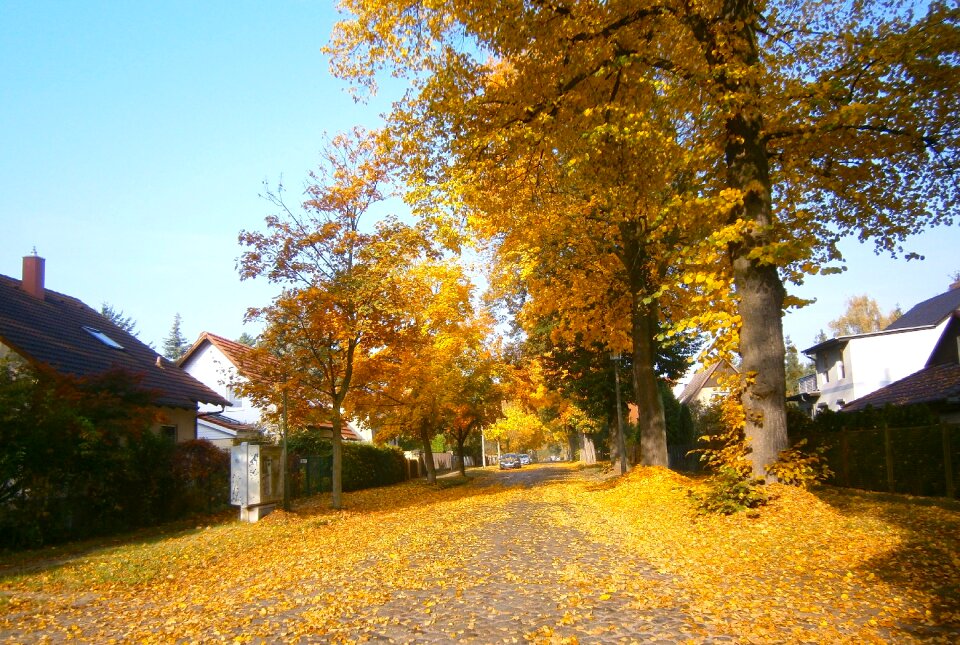 Cities street houses
