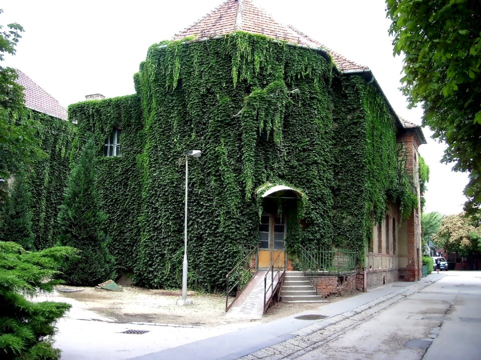 Hospital old building