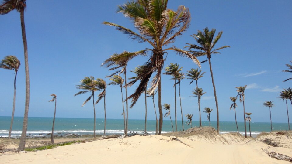 Beach ceará brazil photo