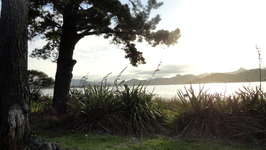 Wind sea coast