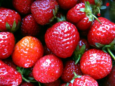 Fruit spring strawberry