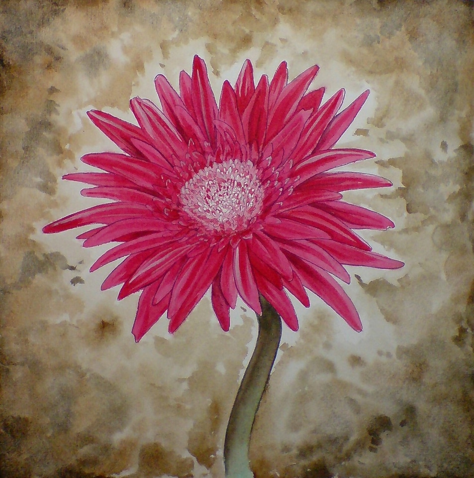 Blossom bloom painting