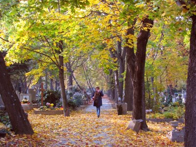 Autumn cemetery grief