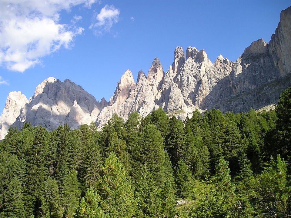 Forest mountains climb