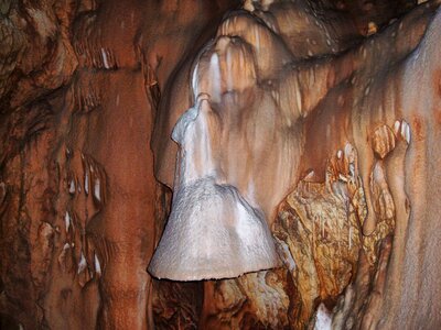 Bear cave transylvania