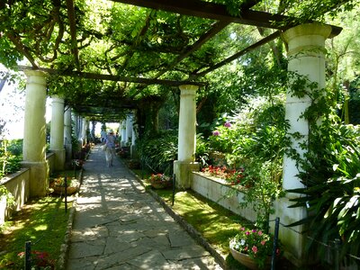 Ravelló phenomenal gardens