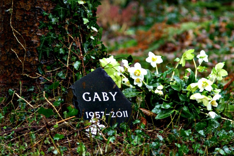Old cemetery graves tombstone