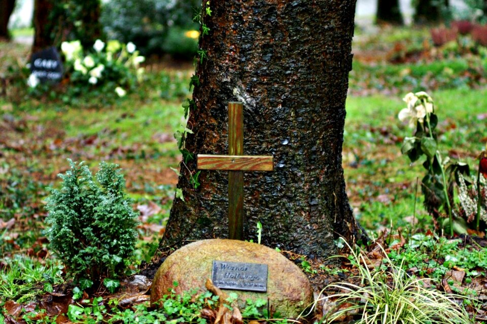 Woodland cemetery graves tombstone