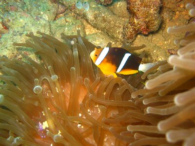 Ocean water underwater