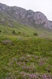 Landscape mountain nature