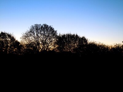 Morgenstimmung landscape nature