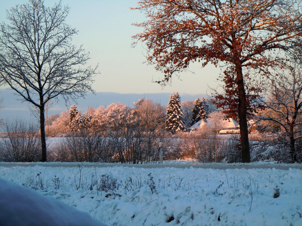 Winter mood winter dream snow