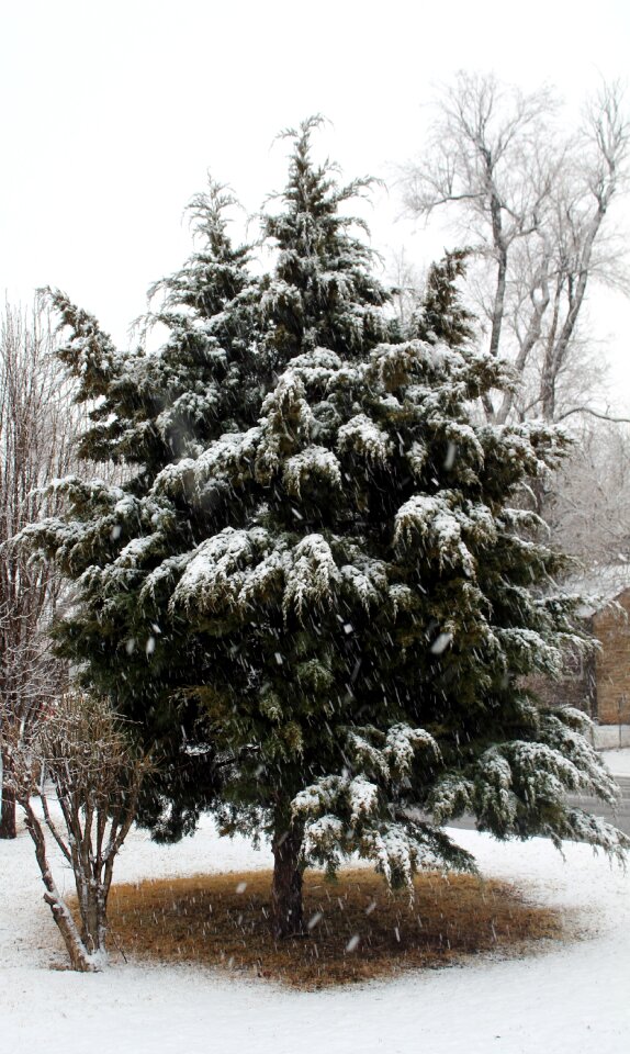Winter cold midwest city
