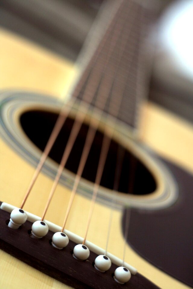 Tool guitars string