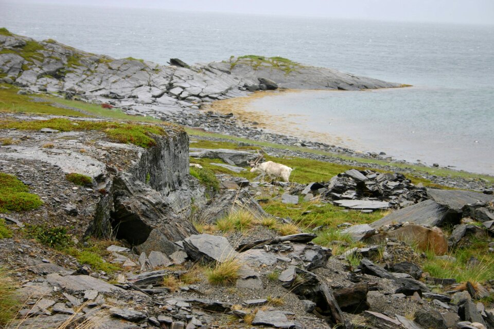 Rocks north of norway north