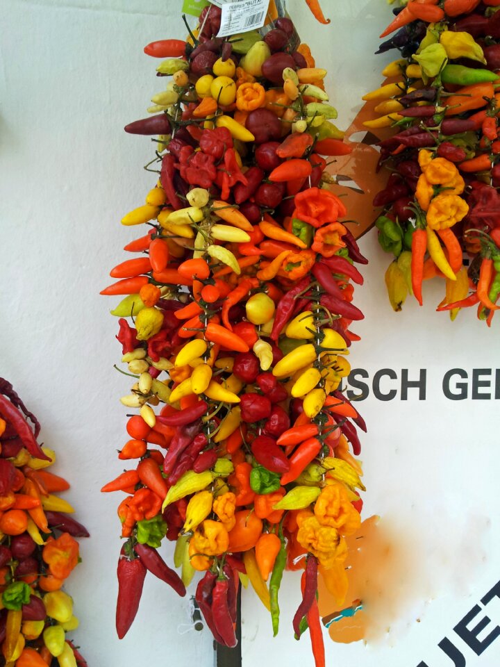 Salsa vegetables food