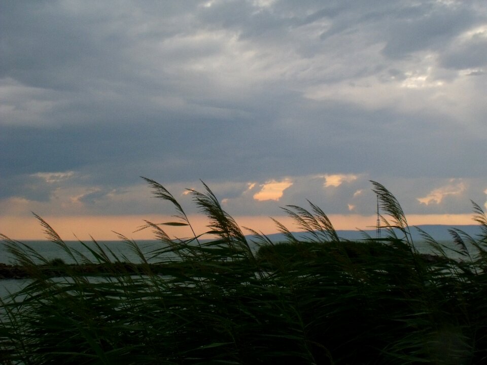 Reed lake balaton naplemenete