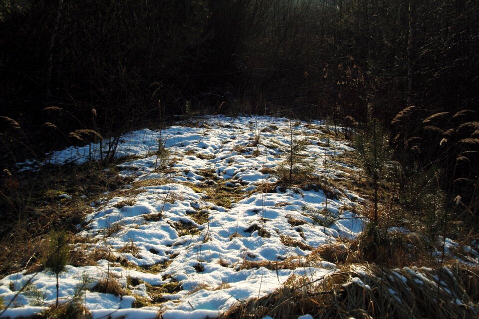 Snow winter impressions