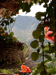 Tenerife landscape mountains