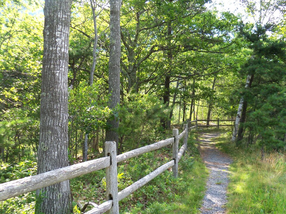 Trails hike hiking